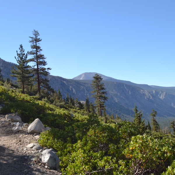 Uphill climb along High Sierra Trail
