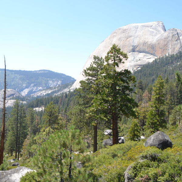 Campground with a view of Half Dome