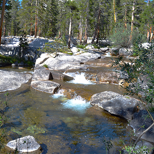 Main crossing of the South Fork Kings