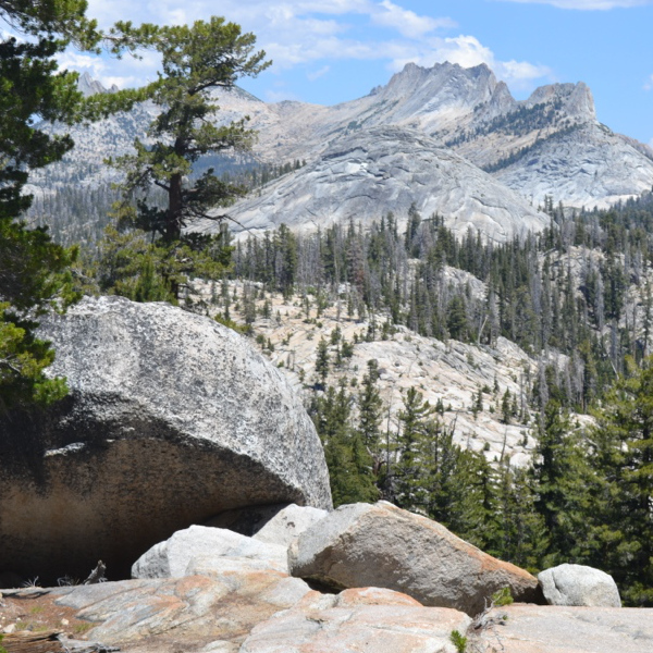 Views of the Sierras