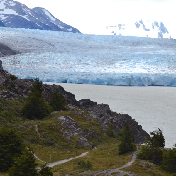 Grey Glacier lookout
