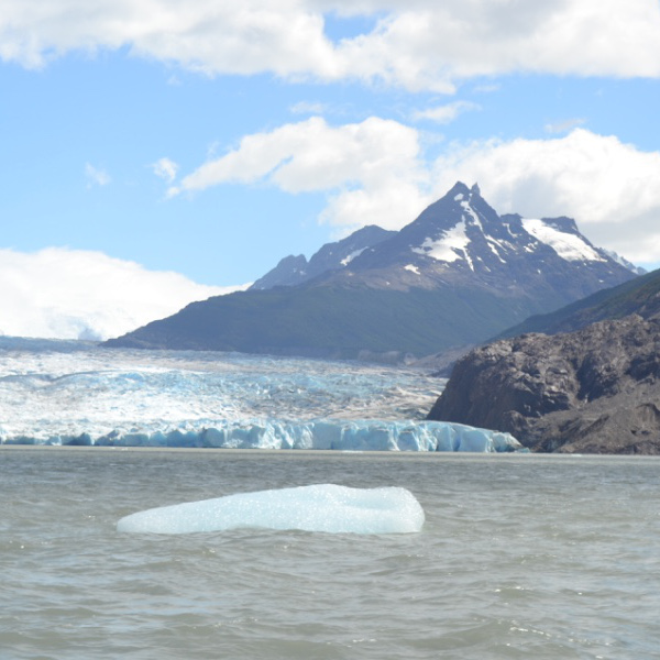 Grey Glacier boat ride