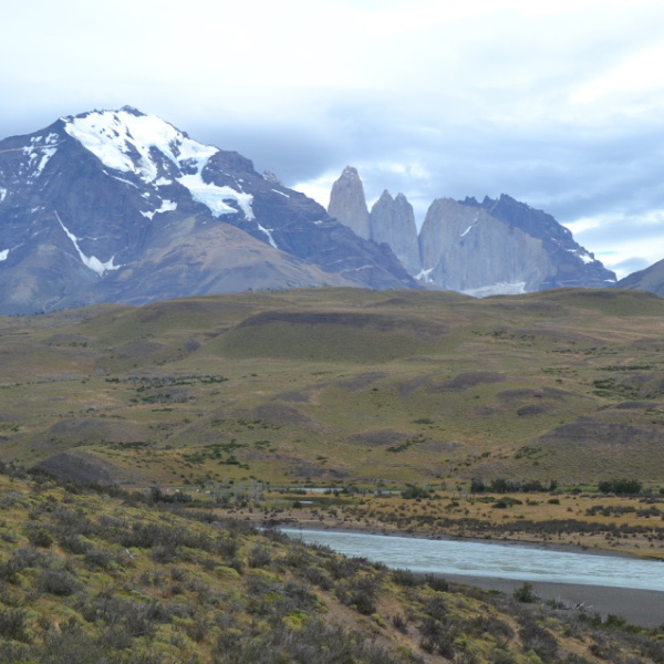 Torres del Paine from Laguna Amarga