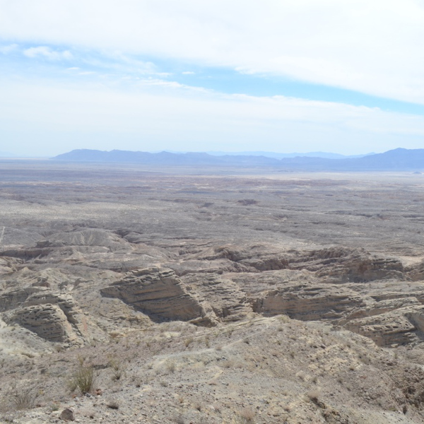 Desert panorama
