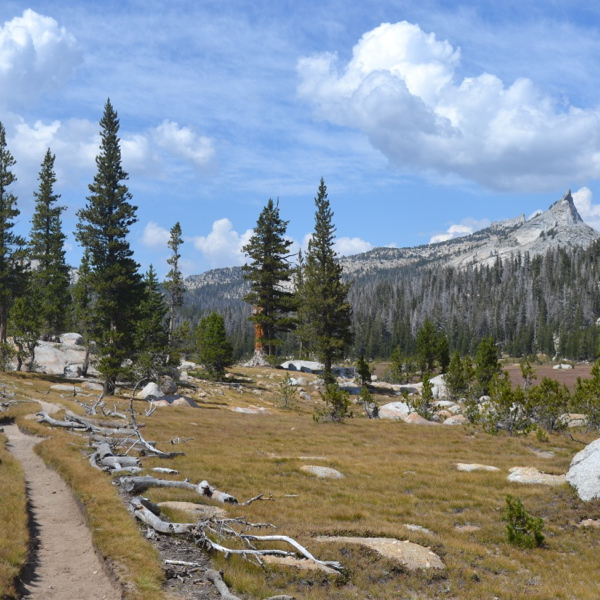 Approaching Cathedral Pass