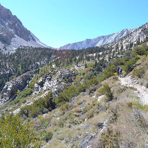 Shepherd Pass trail